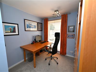 Picture 14